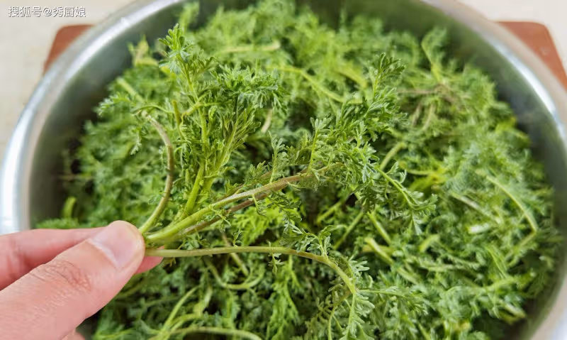 3月,薺菜蒲公英靠邊站,這3種野菜抓緊吃,鮮嫩營養,全身是寶!