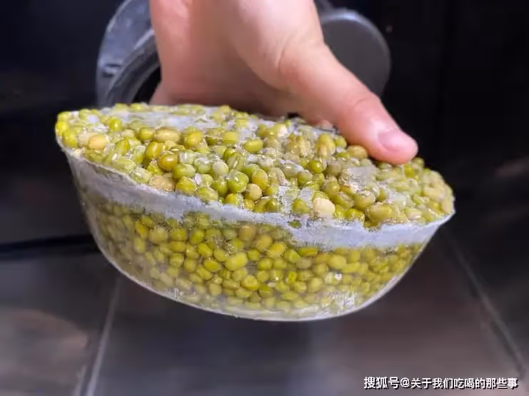 煮綠豆湯,不要直接下鍋煮,教你1招,5分鐘開花,軟爛起沙不發紅