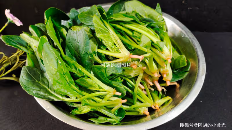 雞蛋和它絕配!花小錢,就吃到「春日第一鮮」,營養高葉酸,咬一口春天好味道