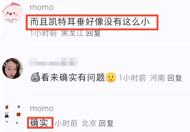 英國王室又造假!凱特威廉合體照被扒是P的,牆壁等多個細節露餡