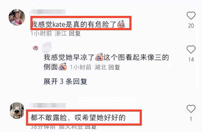 英國王室又造假!凱特威廉合體照被扒是P的,牆壁等多個細節露餡