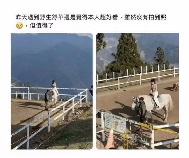 韓國知名女星，因病暫停活動，卻被目擊到處遊玩，引髮網友熱議