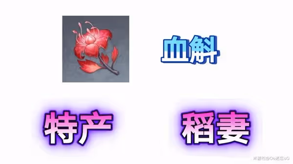 《原神》千織培養材料血斛採集攻略