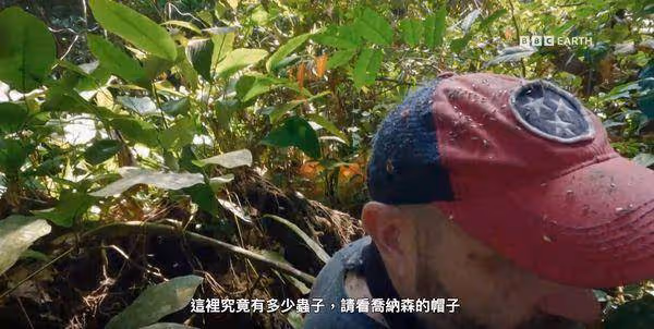「英國冒險王」秘訪雨林出狀況! 「跳蚤入侵皮膚產卵」緊急治療
