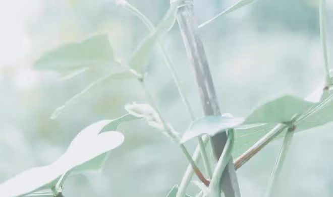 天秤座5月下半月發展，能量一直在消耗，拖下去可能會越來越疲憊