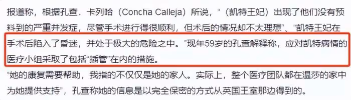 凱特王妃律師發聲！無法聯絡到本尊感覺人沒了，年前入院圖曝光