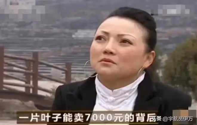 貴州美女賣樹葉13年,靠央視走紅,一片7千,如今成人生贏家