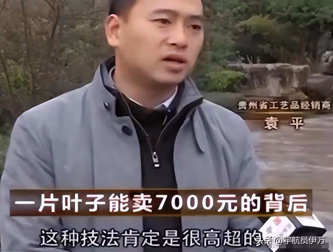 貴州美女賣樹葉13年,靠央視走紅,一片7千,如今成人生贏家