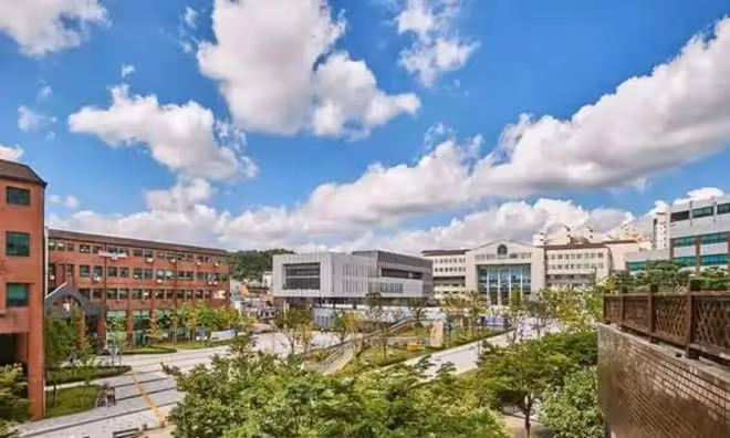 2024年9月光雲大學本科招生簡章