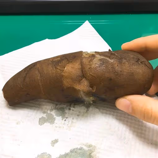 裡面全白的!網友買地瓜「咬下去像白蘿蔔」味道超怪異 內行人秒認出:「超值錢的」