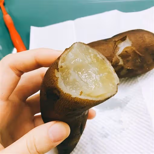 裡面全白的!網友買地瓜「咬下去像白蘿蔔」味道超怪異 內行人秒認出:「超值錢的」
