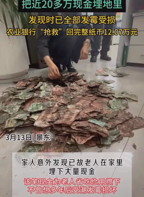 老人過世前將20多萬現金埋地里，家人挖出全部發霉受損：救回12萬