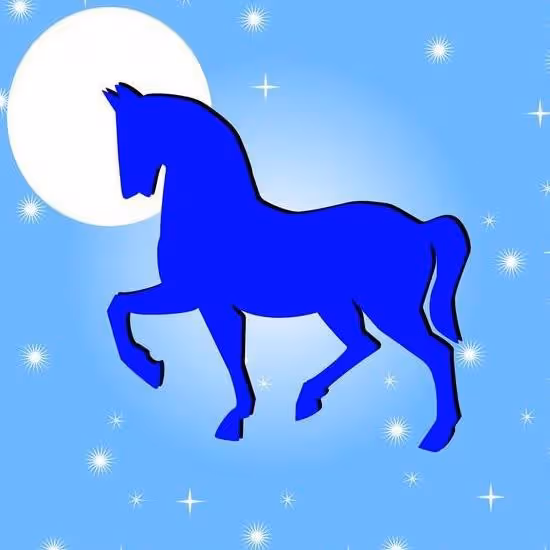 生肖馬：2024開年，切記逃離3個搞破壞的掃帚星！難打翻身仗！