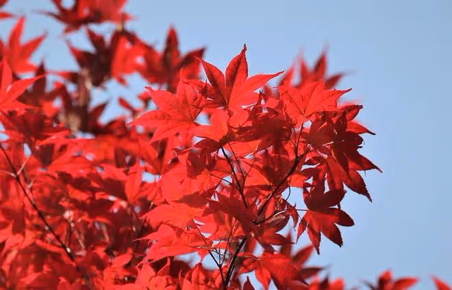 社交中，「沒心眼」的人，其實都比較善良