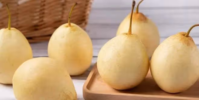 老話說，墳前不祭四果，「四果」指的是什麼？