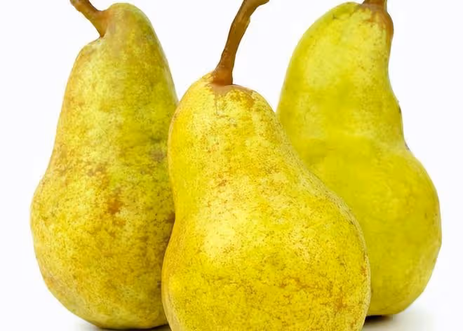 老話說，墳前不祭四果，「四果」指的是什麼？