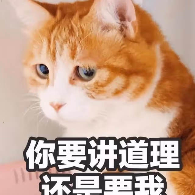 鏟屎官「打貓」的時候，貓咪在想什麼？