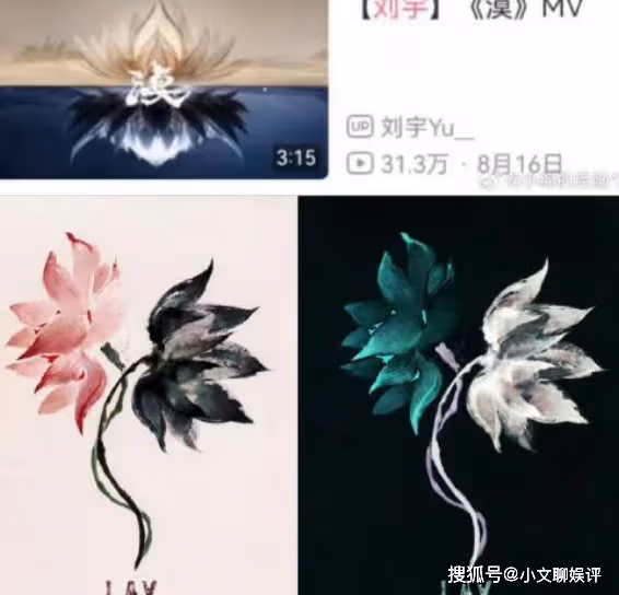 劉宇涉嫌抄襲張藝興作品引發熱議,雙方粉絲各執一詞