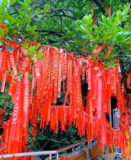 生肖龍最幸福的6個生日尾數，家庭和睦，生活幸福！