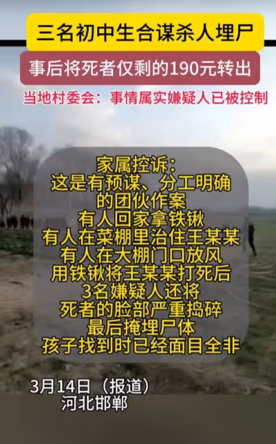 14歲男孩被3名同學殺害,奶奶曬孫子生前的照片緬懷,卻遭遇質疑