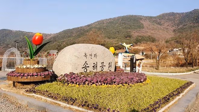 大邱——韓國的活力都市