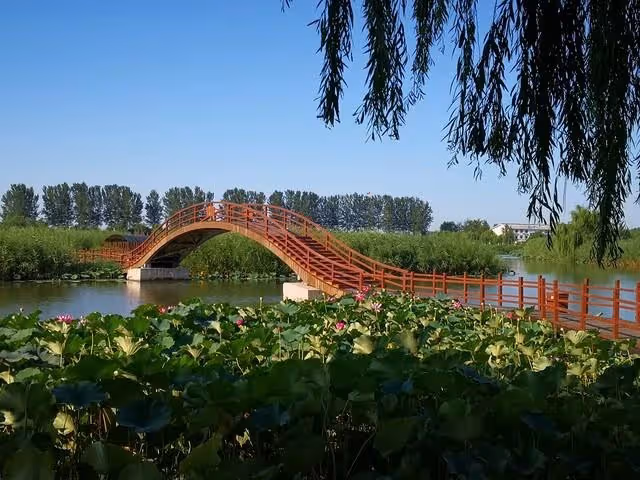 我女兒30歲是公務員、不戀愛也不結婚！ 我心急介紹對象屢被拒絕，氣到和老伴出門旅遊，11天後突接到女兒電話