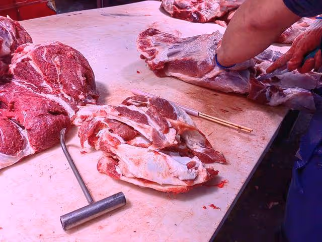 制售假驢肉產業鏈調查:母豬肉變身驢肉,添加劑超標催生致癌物