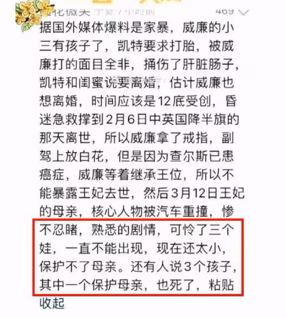 墨爾本醫生堅稱凱特上個月去世,整個醫療團隊飛英國,細節見端倪