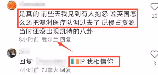 墨爾本醫生堅稱凱特上個月去世，整個醫療團隊飛英國，細節見端倪