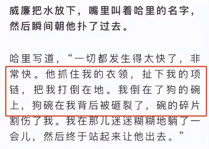 外媒發圖暗示凱特被控制!威廉有暴力傾向,凱特遭遇家暴生死不明