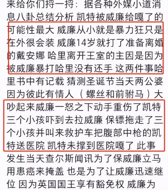 外媒發圖暗示凱特被控制!威廉有暴力傾向,凱特遭遇家暴生死不明