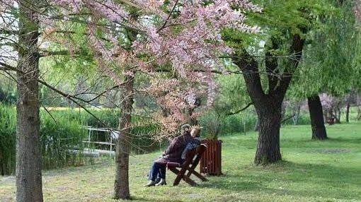 就你嬌貴，就你能花錢：男人因懷孕妻子買車厘子，怒斥其敗家