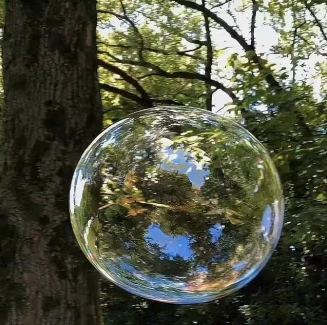 衝鋒小獅子的上升周！看我教你如何抓住時機，桃花事業兩手抓！