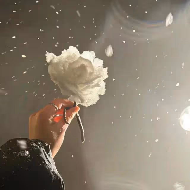 衝鋒小獅子的上升周！看我教你如何抓住時機，桃花事業兩手抓！