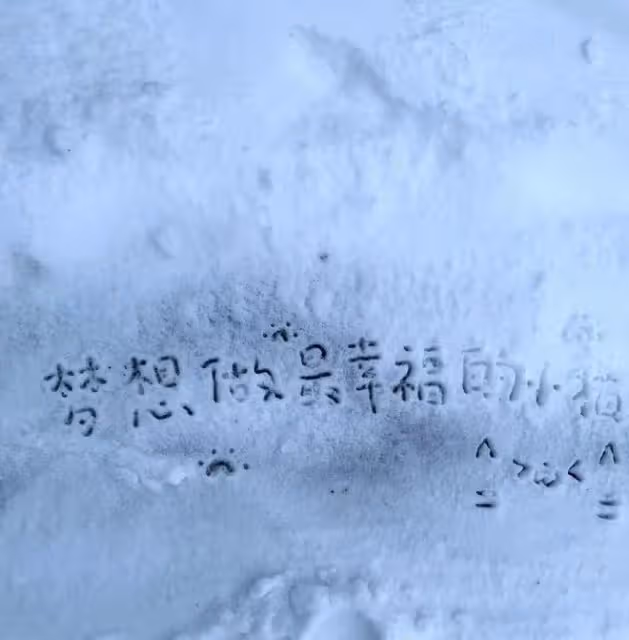 今天來說說土象星座