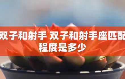 與水瓶女最為契合的星座是誰？