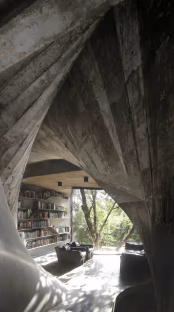堅持不砍樹!廢棄倉庫「改建成禪意茶屋」在陽台挖大洞 獨特設計「環抱巨大樹木」玻璃窗也轉彎