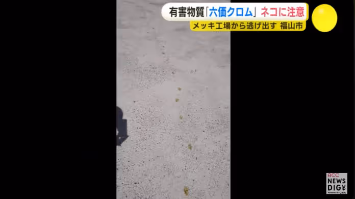 工廠出現「一排黃色貓腳印」!緊急發聲明呼籲「這貓咪有劇毒」:可愛但千萬不要碰