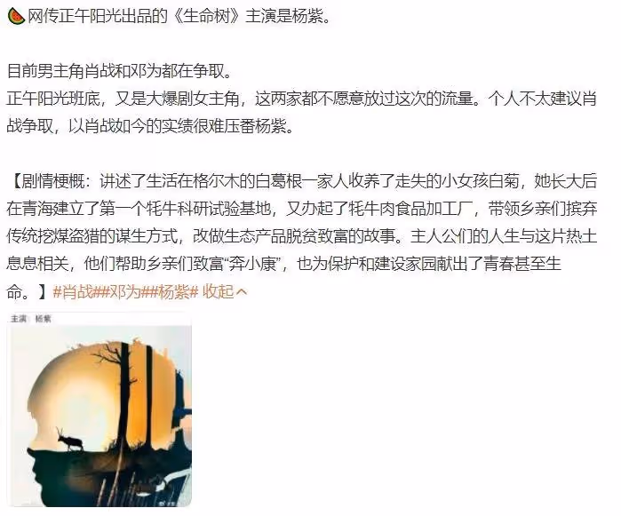 網傳楊紫《國色芳華》後,又接一部高質量劇?還涉及肖戰和王一博
