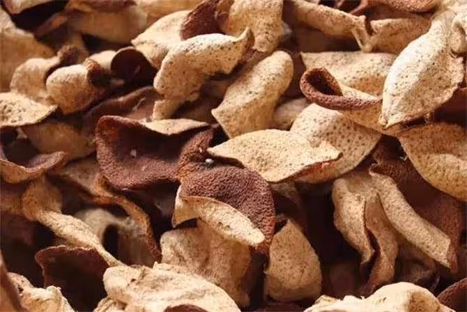 陳皮是什麼水果的皮?陳皮不等於橘子皮,那它到底是什麼呢?
