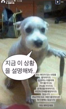 韓韶禧認愛!4點聲明謝罪:暫時失去理智 揭惠利柳俊烈分手時間軸