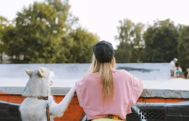 揭秘狗狗最害怕的懲罰方式!為了愛犬,你一定不能錯過!