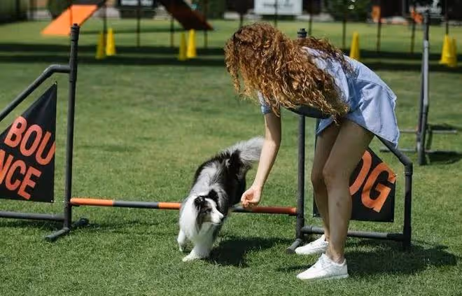 揭秘狗狗最害怕的懲罰方式!為了愛犬,你一定不能錯過!