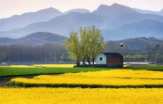 我退休金4千，把城裡的樓房賣了3百萬，回鄉下隨心所欲地生活