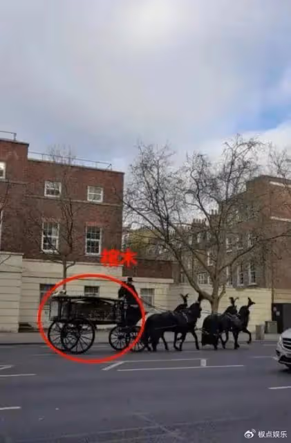 夏洛特公主不在了?英國2月有小孩舉辦葬禮被拍到棺木,真假難辨