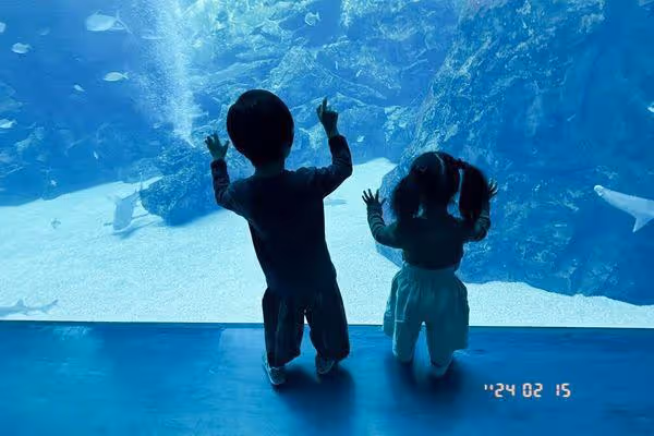 5歲兒曝胎內記憶「早就認識妹妹」 陳意涵一聽笑了:上廁所誤事
