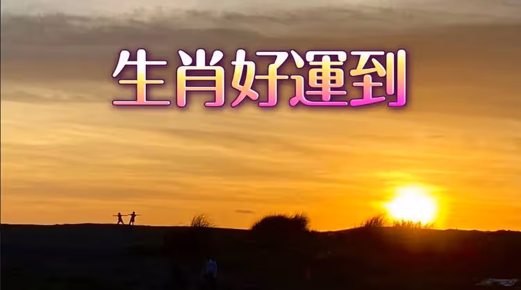 12生肖本周運勢｜龍工作運旺　猴、雞珍惜小確幸　羊須把握良緣