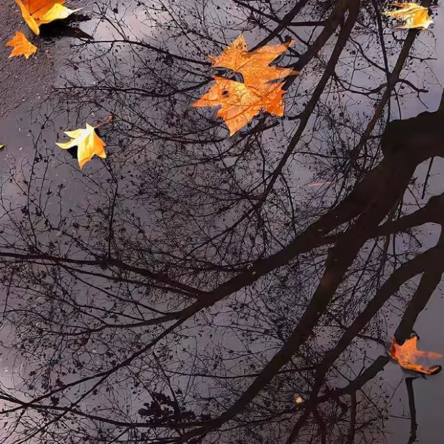 這四個星座的人，在本周朋友相助，財氣樂觀，性格開朗