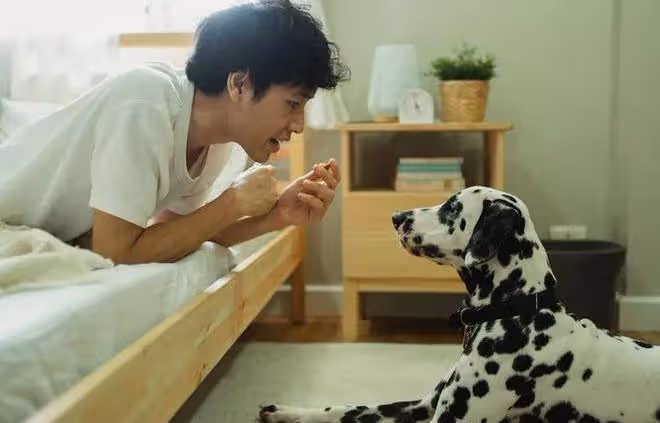 狗狗的十種表現,證明它已經被你養熟了!