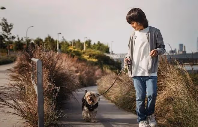 狗狗的十種表現，證明它已經被你養熟了！